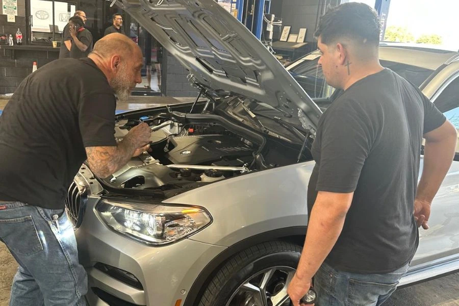 bmw specialists