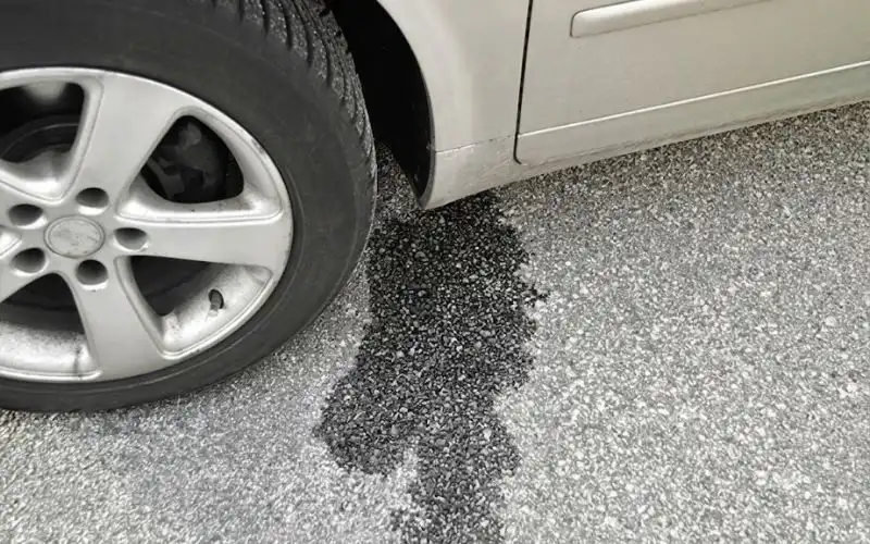 Brake Fluid Leak