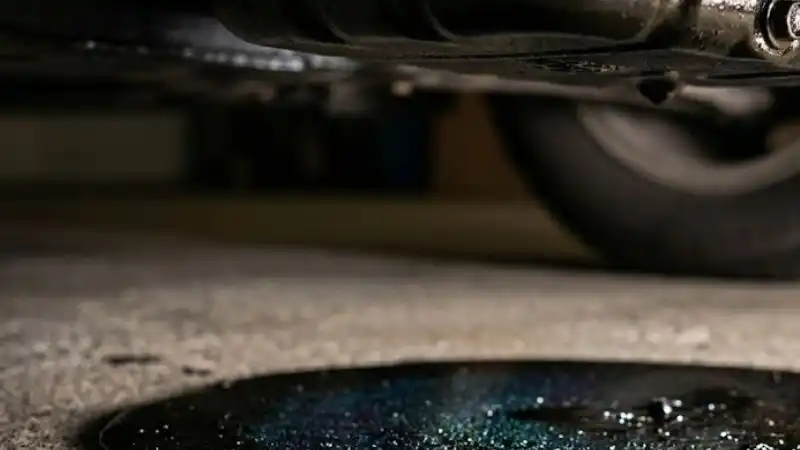 oil leak from the car